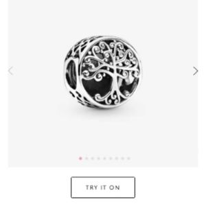 Pandora Charm